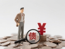 个人债务纠纷想诉讼，具体如何操作