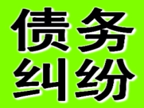 债务纠纷解决服务
